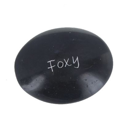 Foxy Large Oval Soapstone Pebble